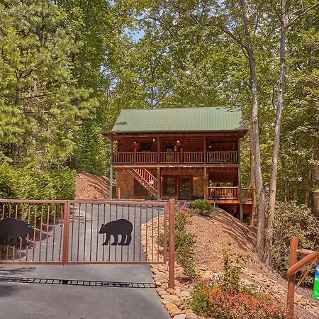 Browns Bear Den #235-2
